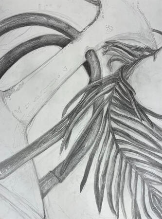 Graphite on newsprint